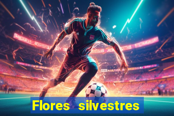 Flores silvestres brasileiras 25